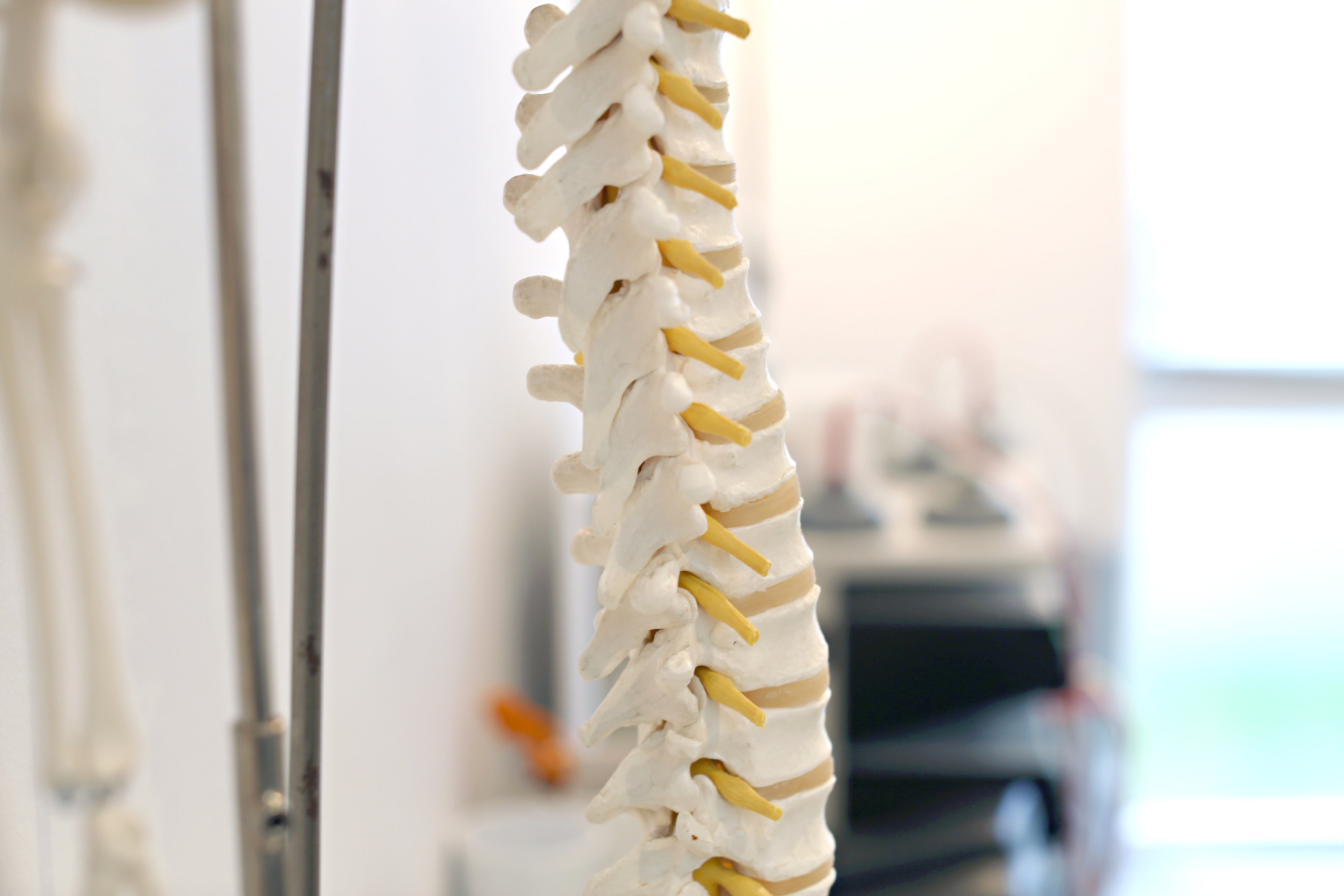 Spinal Column Back Pain